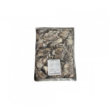 MOSCARDINO PICCOLO ADRIATICO CDM PZ3X2KG