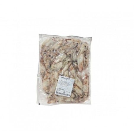 CALAMARO ADRIATICO 7-10 CM CDM   PZ5X1KG