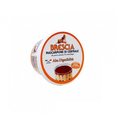 MASCARPONE SENZA LATTOSIO        G.500X6