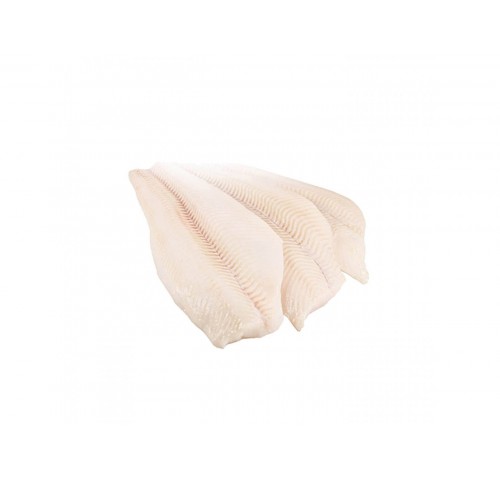 HALIBUT FILETTO ROYAL 100/200 S/PCT1X5KG