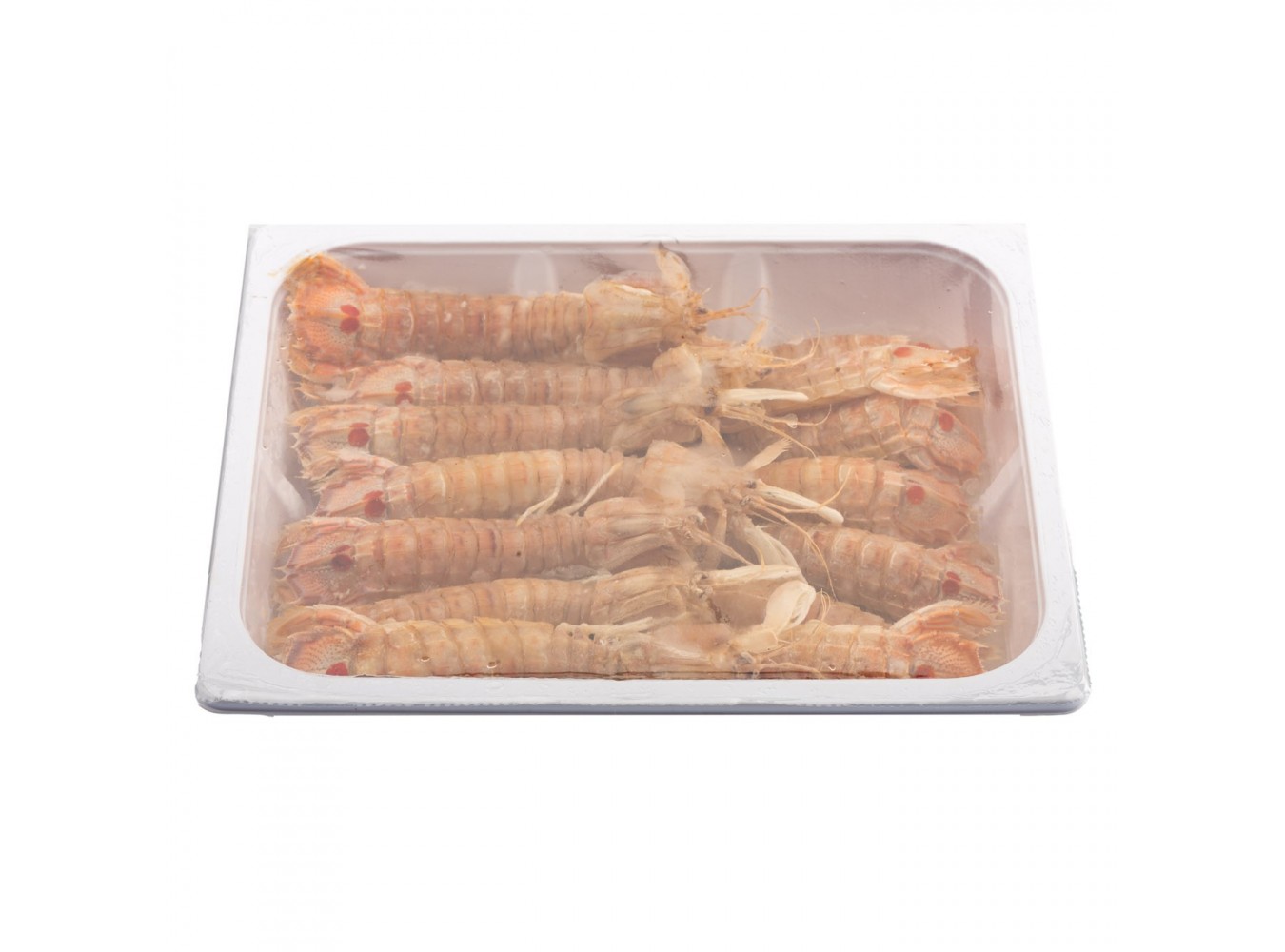 CICALE DI MARE INTERE COTTE   PZ6X850GR