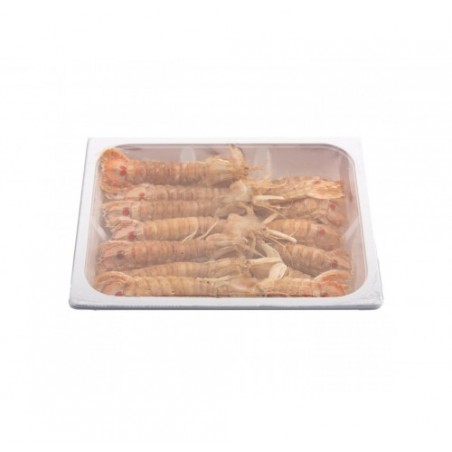 CICALE DI MARE INTERE COTTE   PZ6X850GR