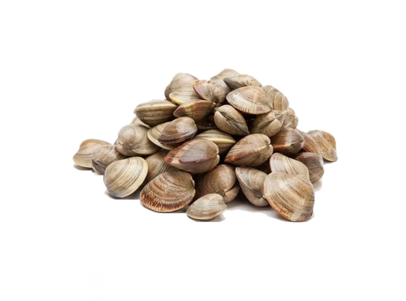 VONGOLE INTERE COTTE 60/80   PZ10X1KG