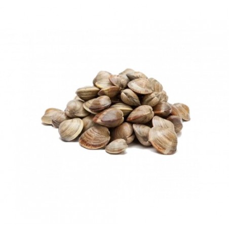 VONGOLE INTERE COTTE 60/80   PZ10X1KG