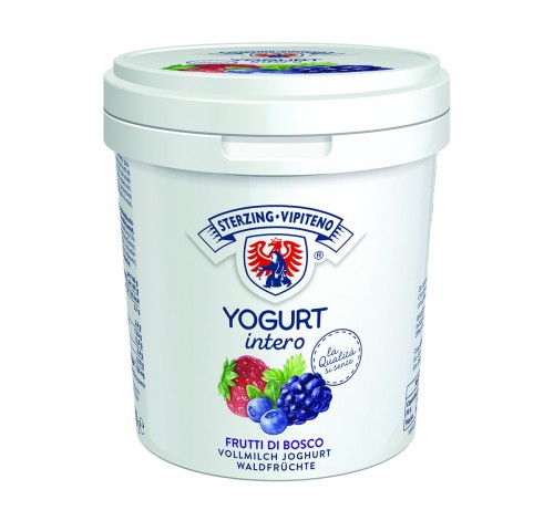 YOGURT FRUTTI DI BOSCO VIPITENO   KG.1X6