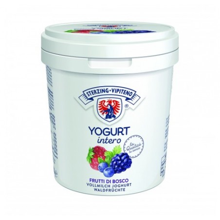 YOGURT FRUTTI DI BOSCO VIPITENO   KG.1X6