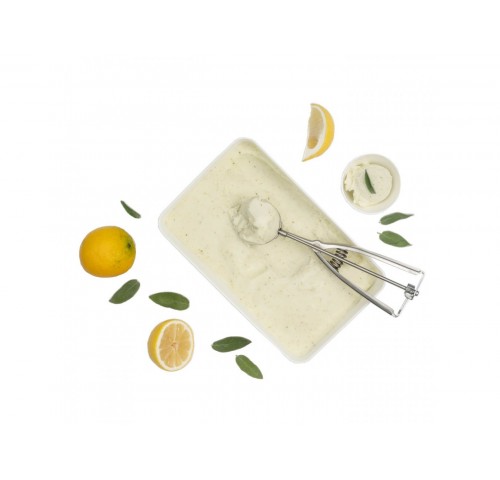 SORBETTO LIMONE E SALVIA GELO     KG.1.8