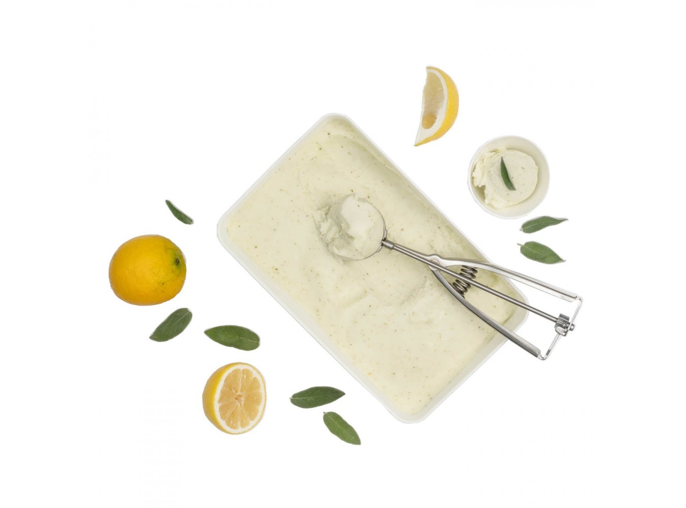 SORBETTO LIMONE E SALVIA GELO     KG.1.8