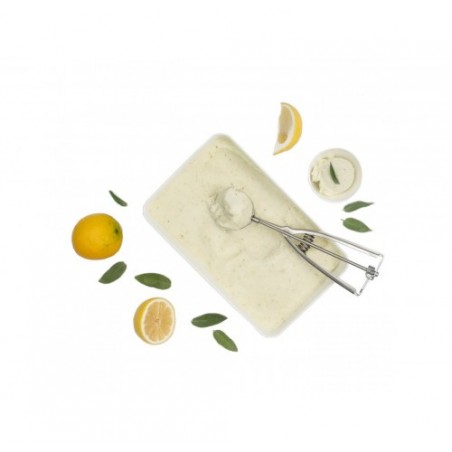 SORBETTO LIMONE E SALVIA GELO     KG.1.8