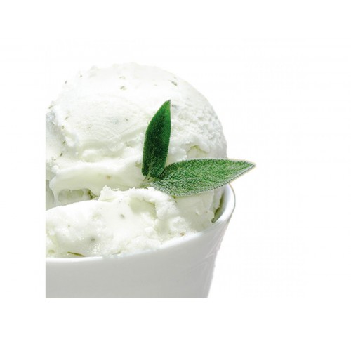 SORBETTO LIMONE E SALVIA GELO     KG.1.8