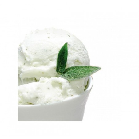 SORBETTO LIMONE E SALVIA GELO     KG.1.8