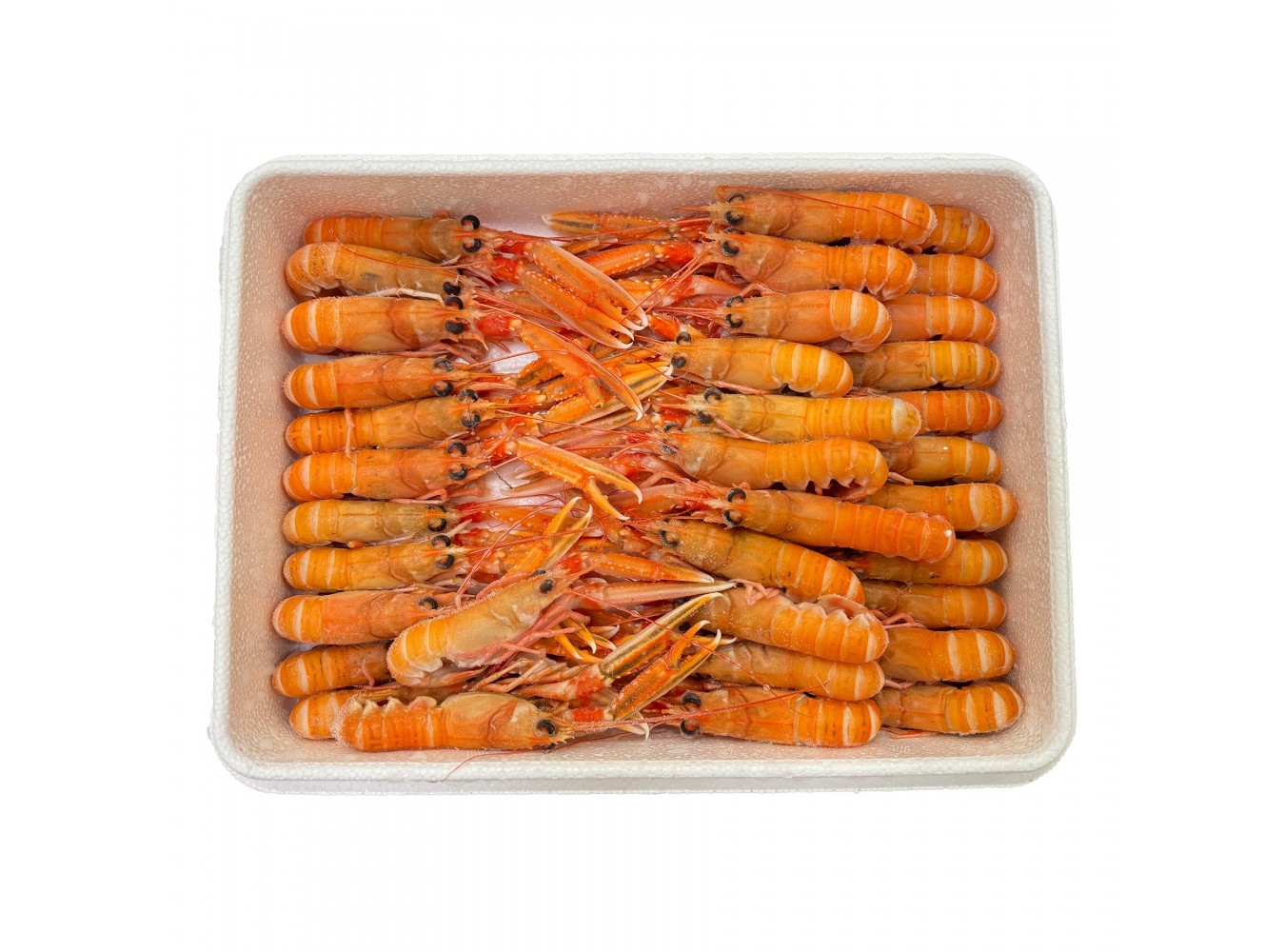 SCAMPI INTERI LAESO POLY10/15 PZ4X1,35KG